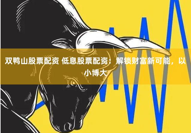 双鸭山股票配资 低息股票配资：解锁财富新可能，以小博大