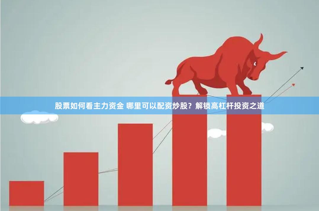 股票如何看主力资金 哪里可以配资炒股？解锁高杠杆投资之道